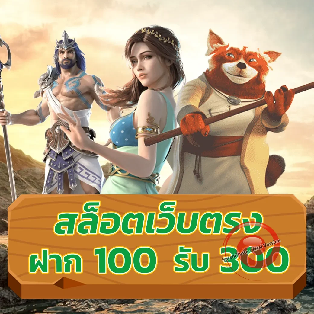 MVP24H ทางเข้า